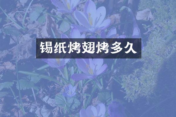锡纸烤翅烤多久