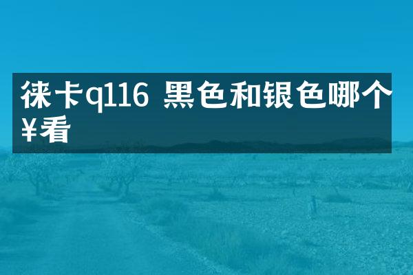 徕卡q116 黑色和银色哪个好看
