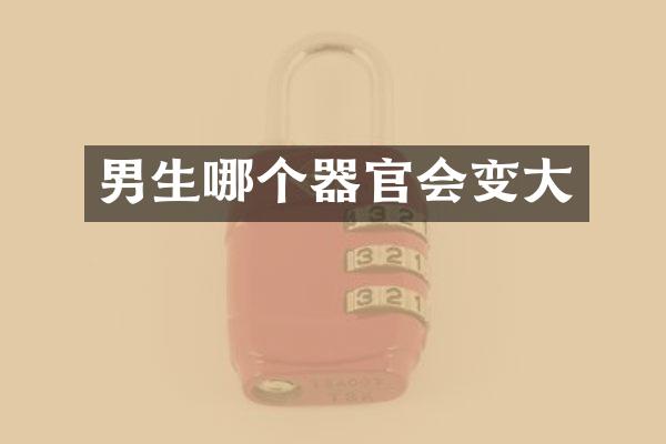 男生哪个器官会变大