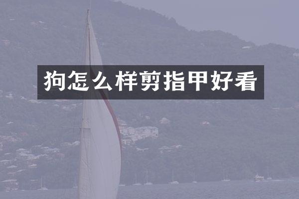 狗怎么样剪指甲好看