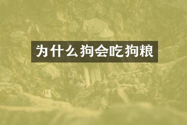为什么狗会吃