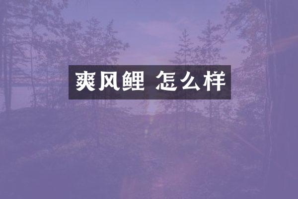 爽风鲤 怎么样
