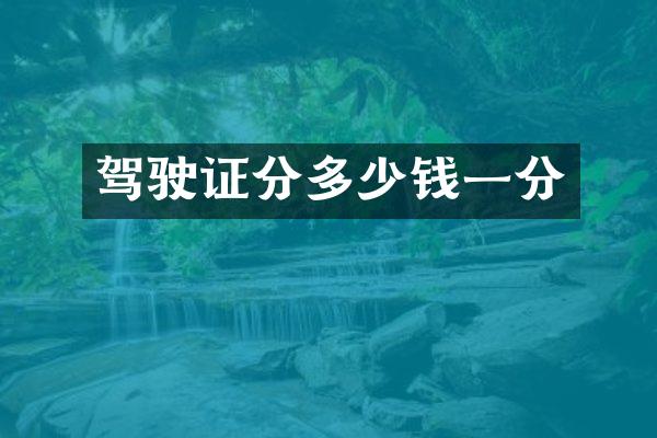 驾驶证分多少钱一分