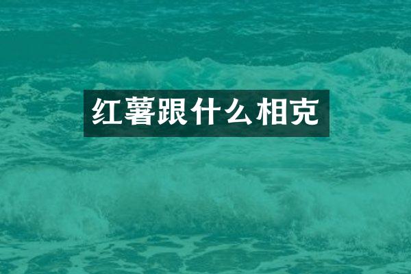 红薯跟什么相克