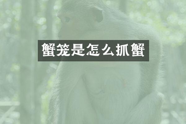 蟹笼是怎么抓蟹
