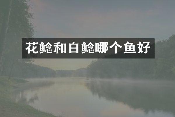 花鲶和白鲶哪个鱼好