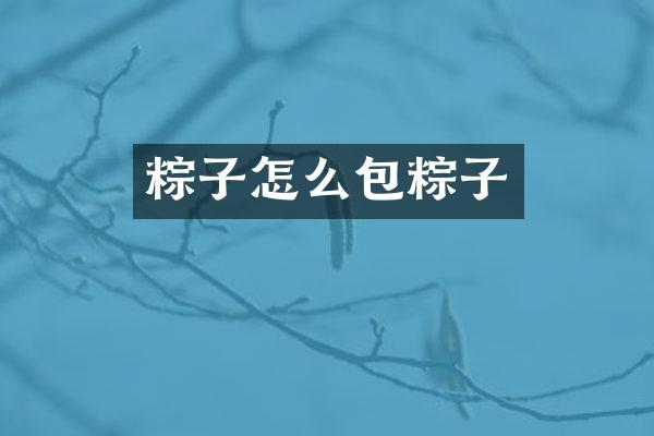 粽子怎么包粽子