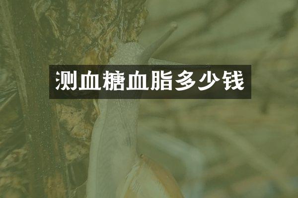 测血糖血脂多少钱