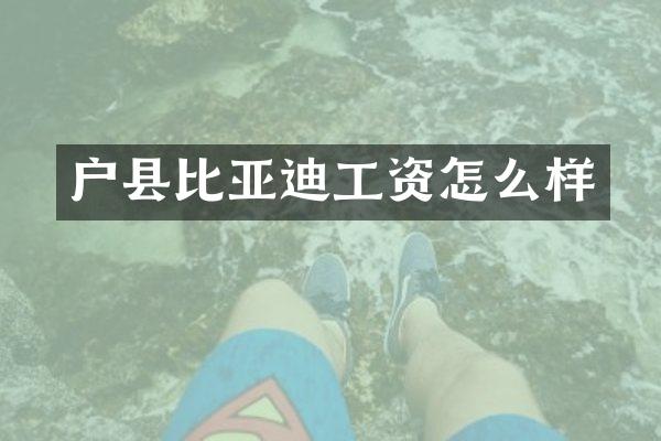 户县比亚迪工资怎么样