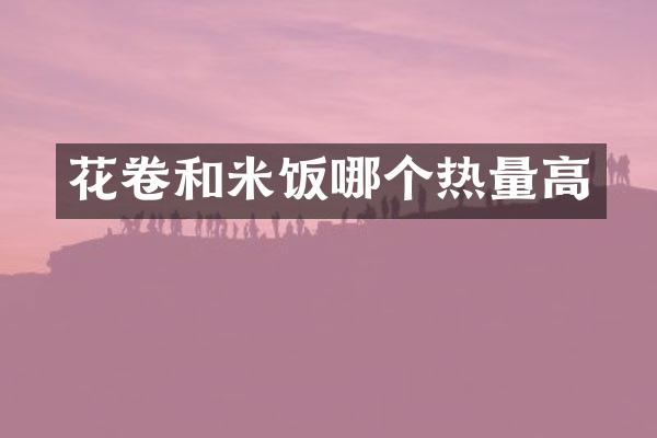 花卷和米饭哪个热量高