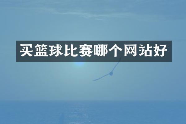 买篮球比赛哪个网站好