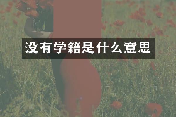 没有学籍是什么意思