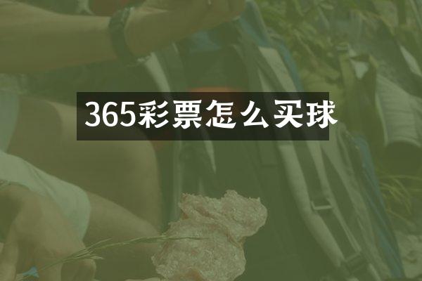 365彩票怎么买球