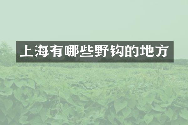 上海有哪些野钩的地方