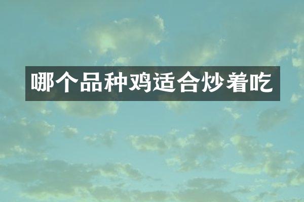 哪个品种鸡适合炒着吃