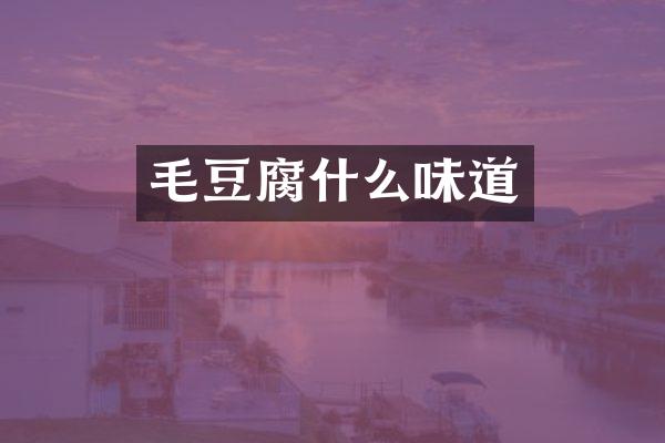 毛豆腐什么味道