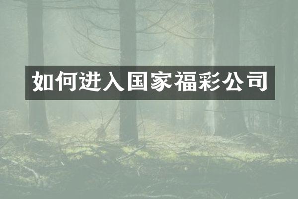 如何进入国家公司