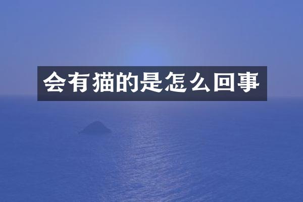 会有猫的是怎么回事