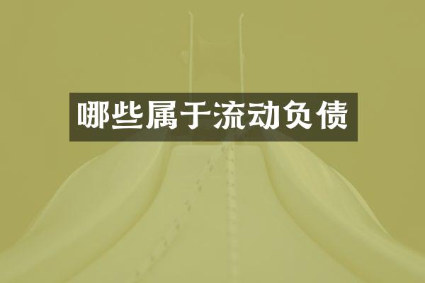 哪些属于流动负债