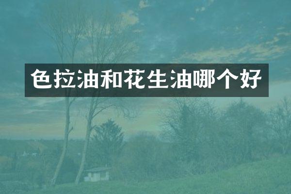 色拉油和花生油哪个好
