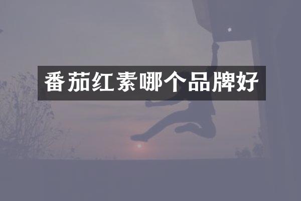 番茄红素哪个品牌好
