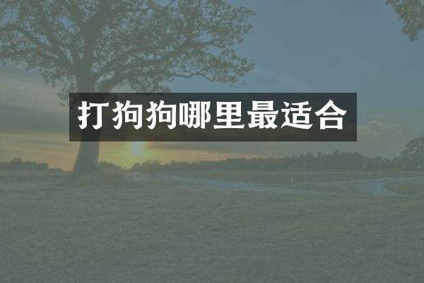 打狗狗哪里最适合