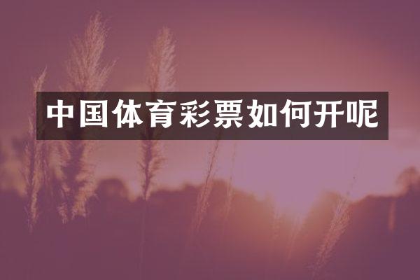 中国体育彩票如何开呢