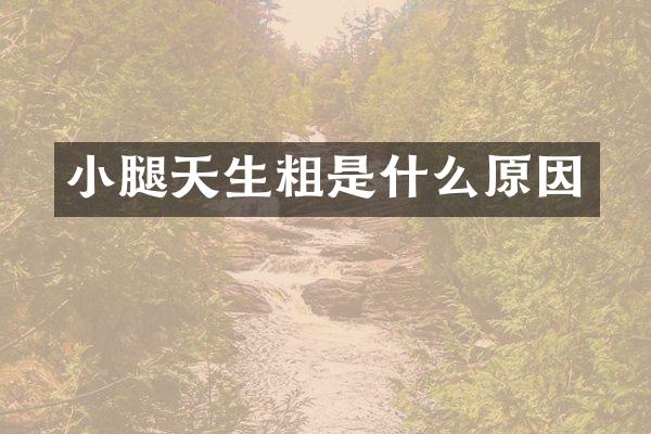 小腿天生粗是什么原因