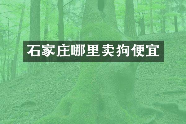 石家庄哪里卖狗便宜