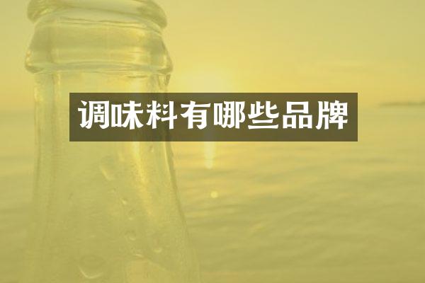 调味料有哪些品牌