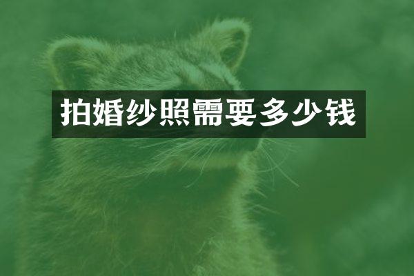 拍婚纱照需要多少钱