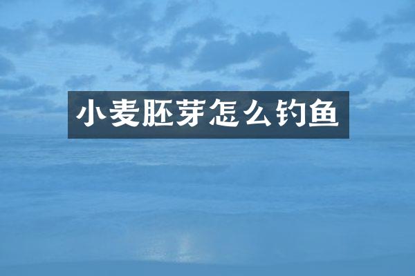 小麦胚芽怎么钓鱼