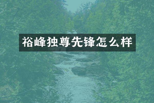 裕峰独尊先锋怎么样