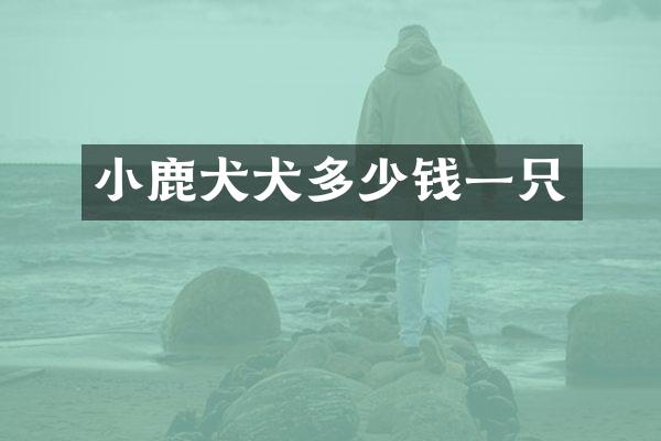 小鹿犬犬多少钱一只