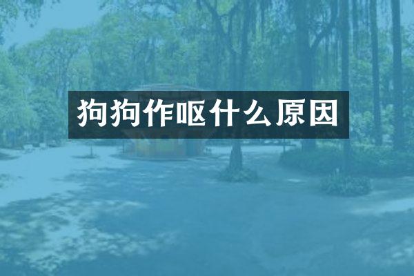 狗狗作呕什么原因