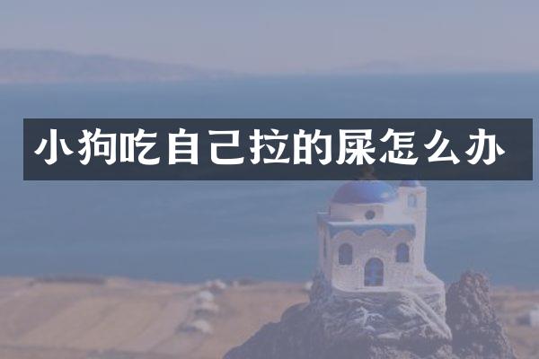 小狗吃自己拉的屎怎么办