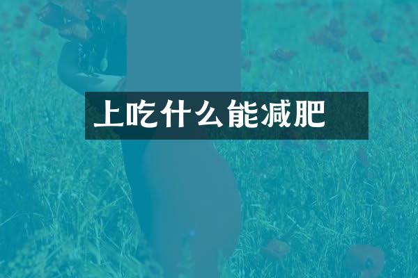 睌上吃什么能减肥