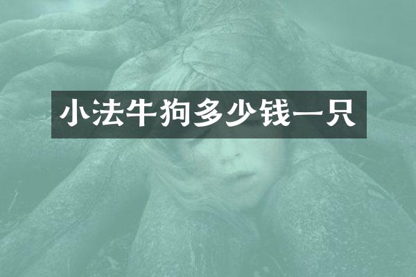 小法牛狗多少钱一只