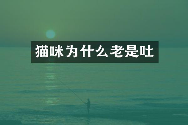 猫咪为什么老是吐