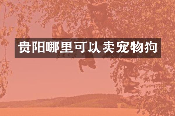 贵阳哪里可以卖宠物狗