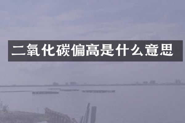 二氧化碳偏高是什么意思