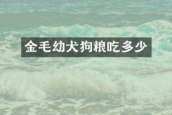 金毛幼犬狗粮吃多少