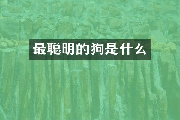 最聪明的狗是什么