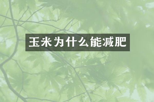 玉米为什么能减肥