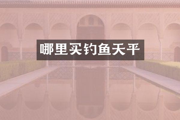 哪里买钓鱼天平