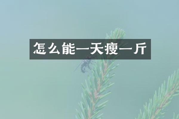 怎么能一天瘦一斤