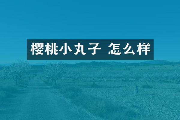 樱桃小丸子 怎么样