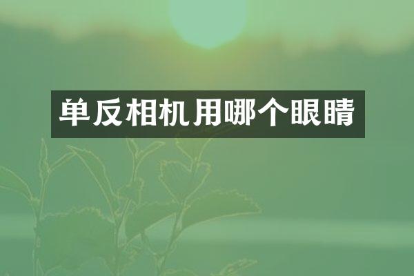 单反相机用哪个眼睛
