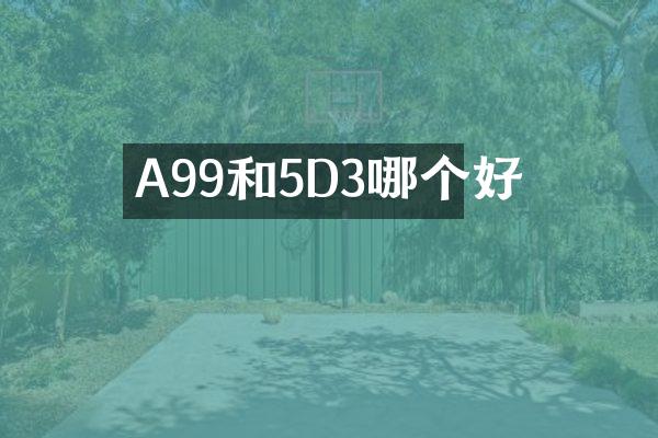 A99和5D3哪个好