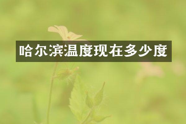 哈尔滨温度现在多少度